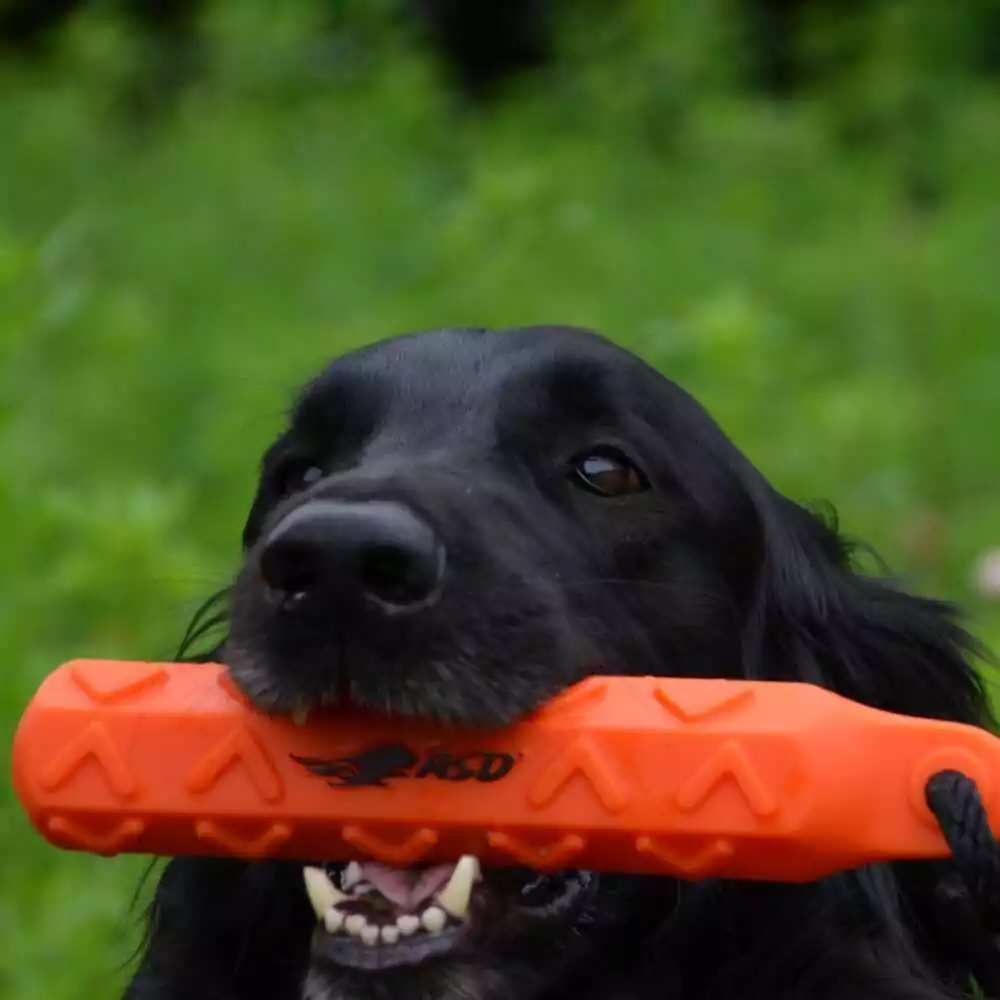 Avery Sporting Dog Hexabumper - Billede 4