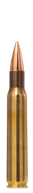 Norma Range & Training 30-06 Spr. 9,7g / 150 Grain - Billede 3