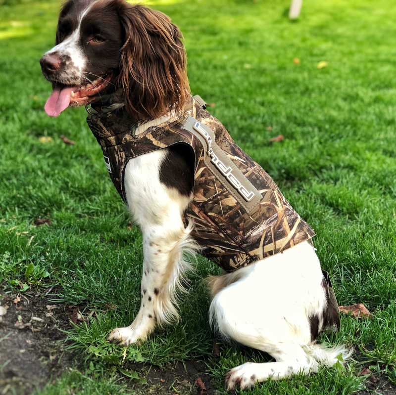5 mm neopren hundevest fra Banded - Billede 3