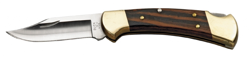 Buck Folding Hunter
