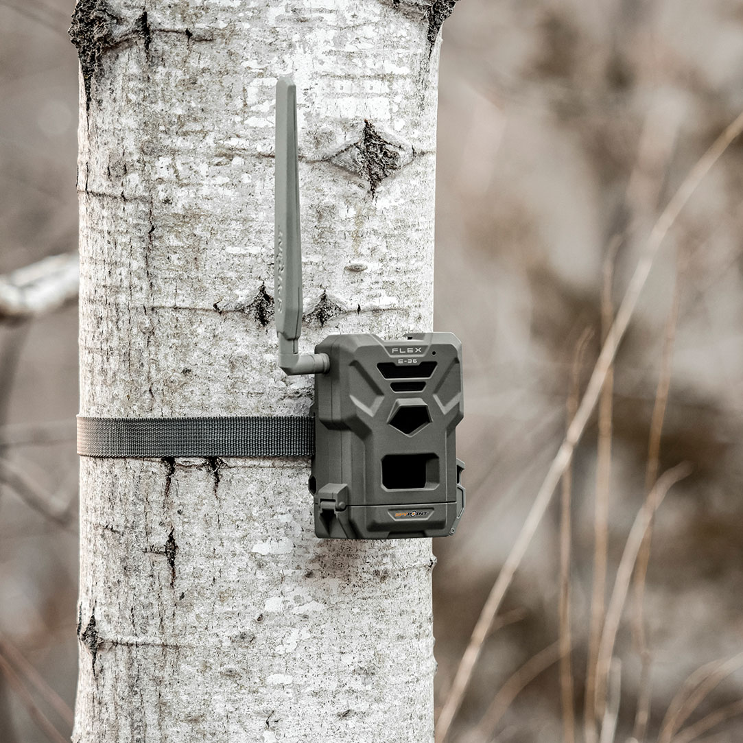 Spypoint FLEX-E-36 Vildtkamera Twinpack m/ 100 gratis MMS hver måned - Billede 10