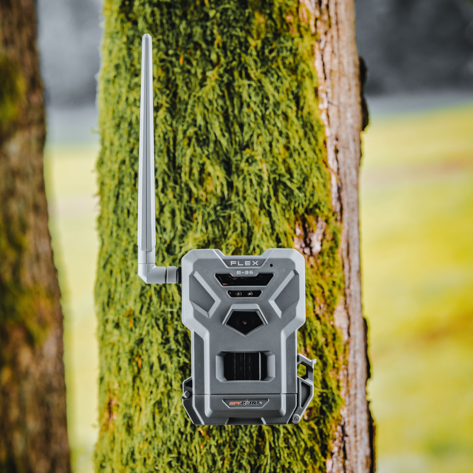Spypoint FLEX-E-36 Vildtkamera Twinpack m/ 100 gratis MMS hver måned - Billede 11