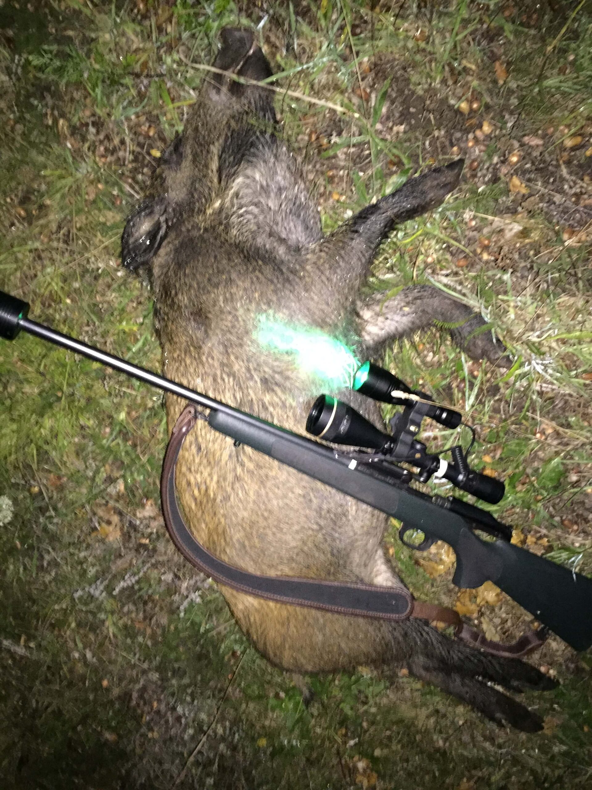 Apollo Hog Hunter Extreme lygte - Billede 4