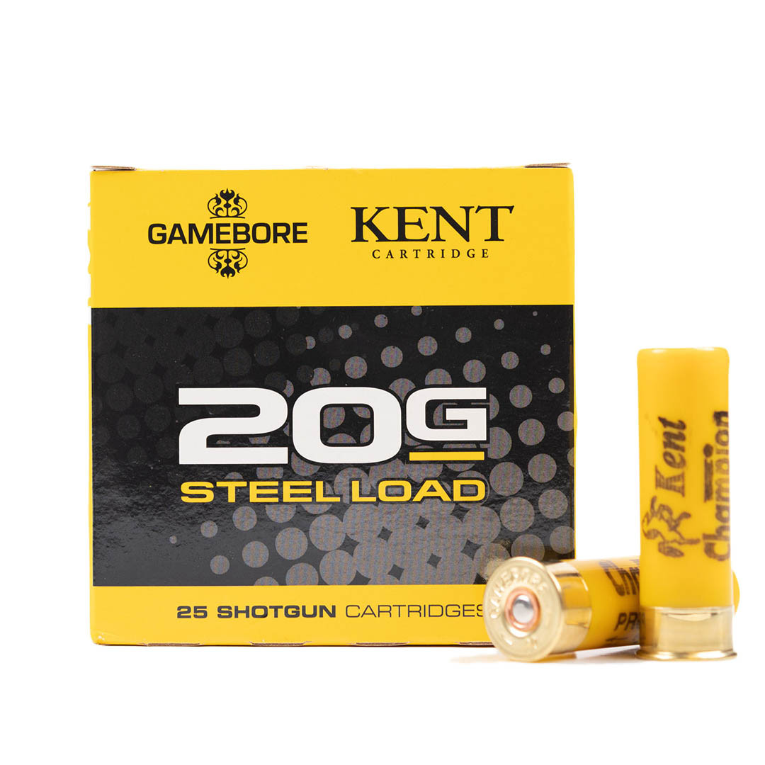 20/67 Champion pro steel 24 gram 7,5 hagl