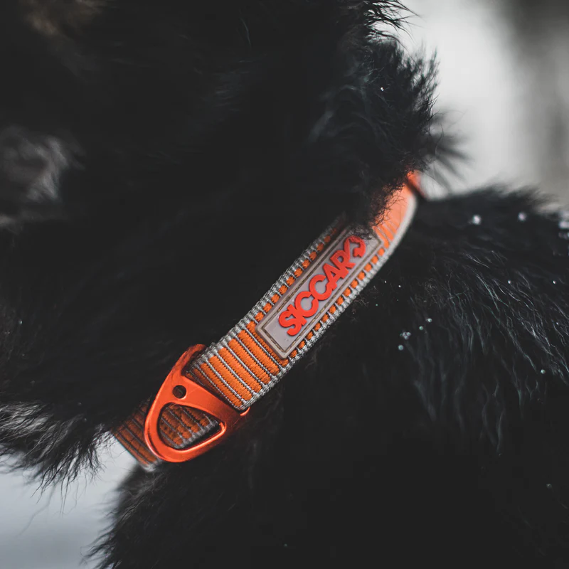 Siccaro Sealines Halsbånd - 100% Genanvendt Nylon
