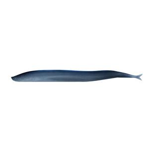 BERKLEY GULP ALIVE 1/2 TOBIS 5' - 8stk - Billede 3