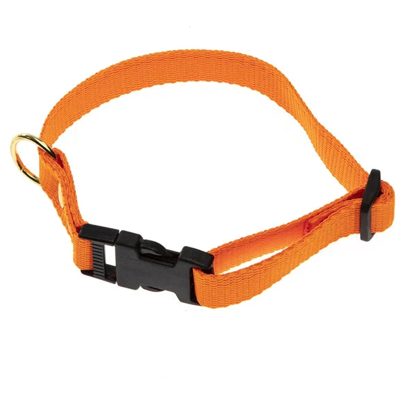 BLF Halsbånd Webbing - 25mm x 60cm - Orange