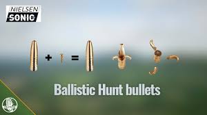 SONIC BALLISTIC - Billede 3