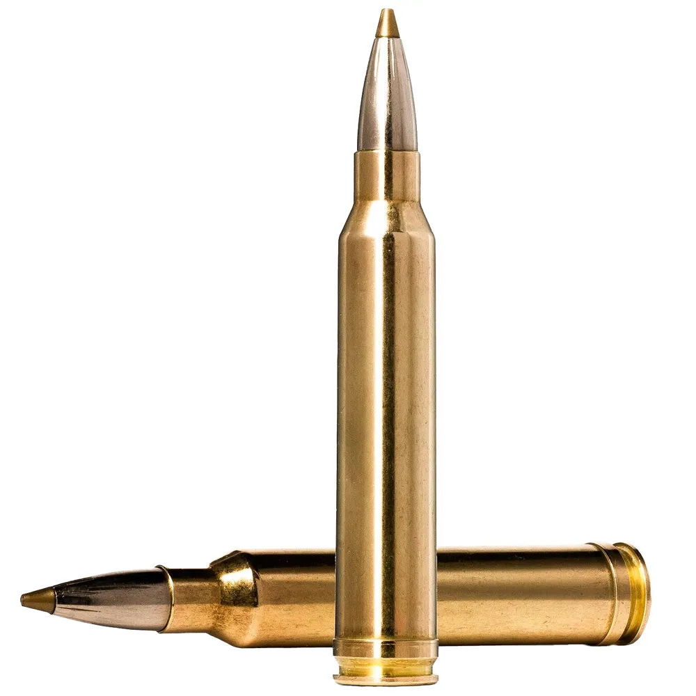 Norma EvoStrike 300 Win. Mag. 9.0g / 139gr