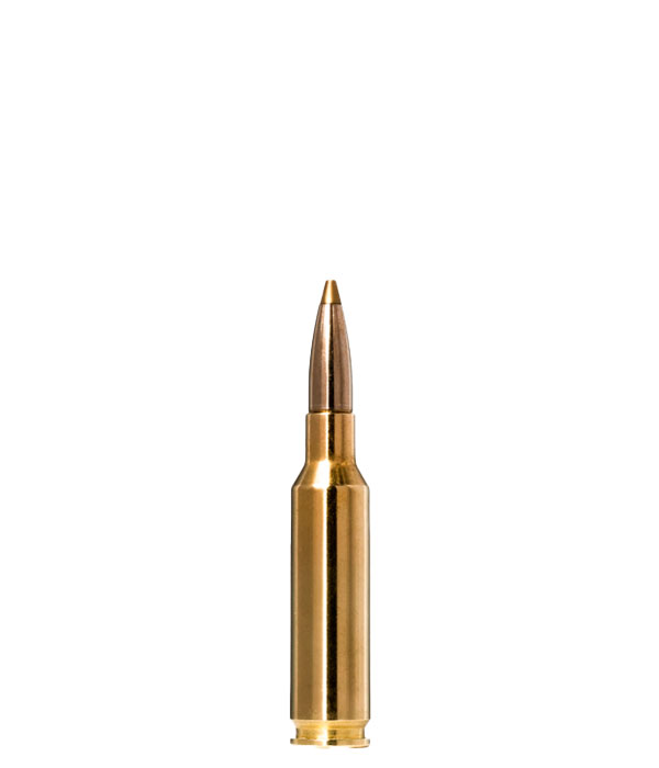 Norma EvoStrike 6,5 Creedmoor - Billede 3