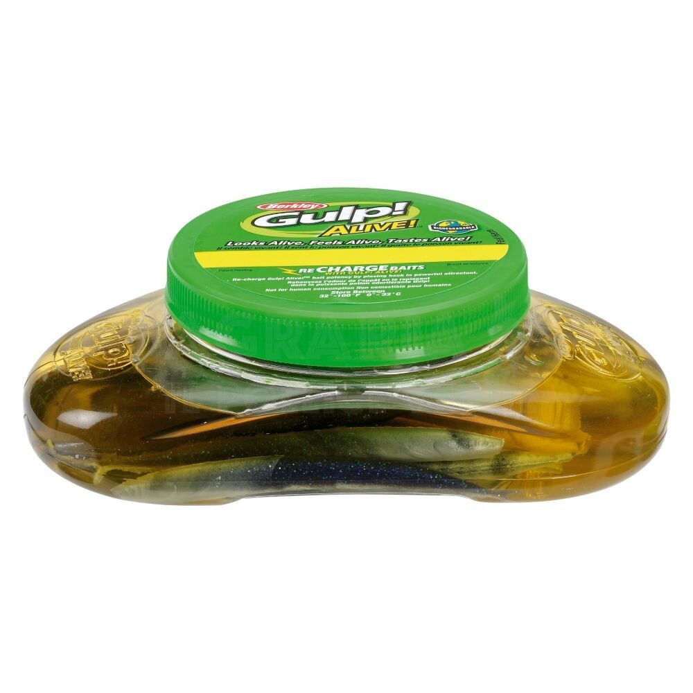 BERKLEY GULP ALIVE 1/2 TOBIS 5' - 8stk