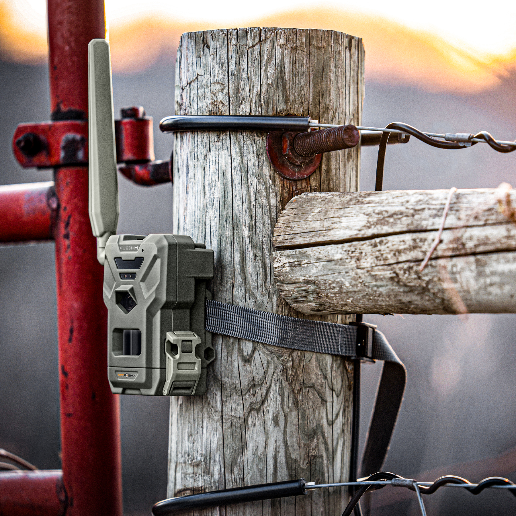 Spypoint FLEX-M TWIN Pack med 2x100 MMS gratis hver md. - Billede 5