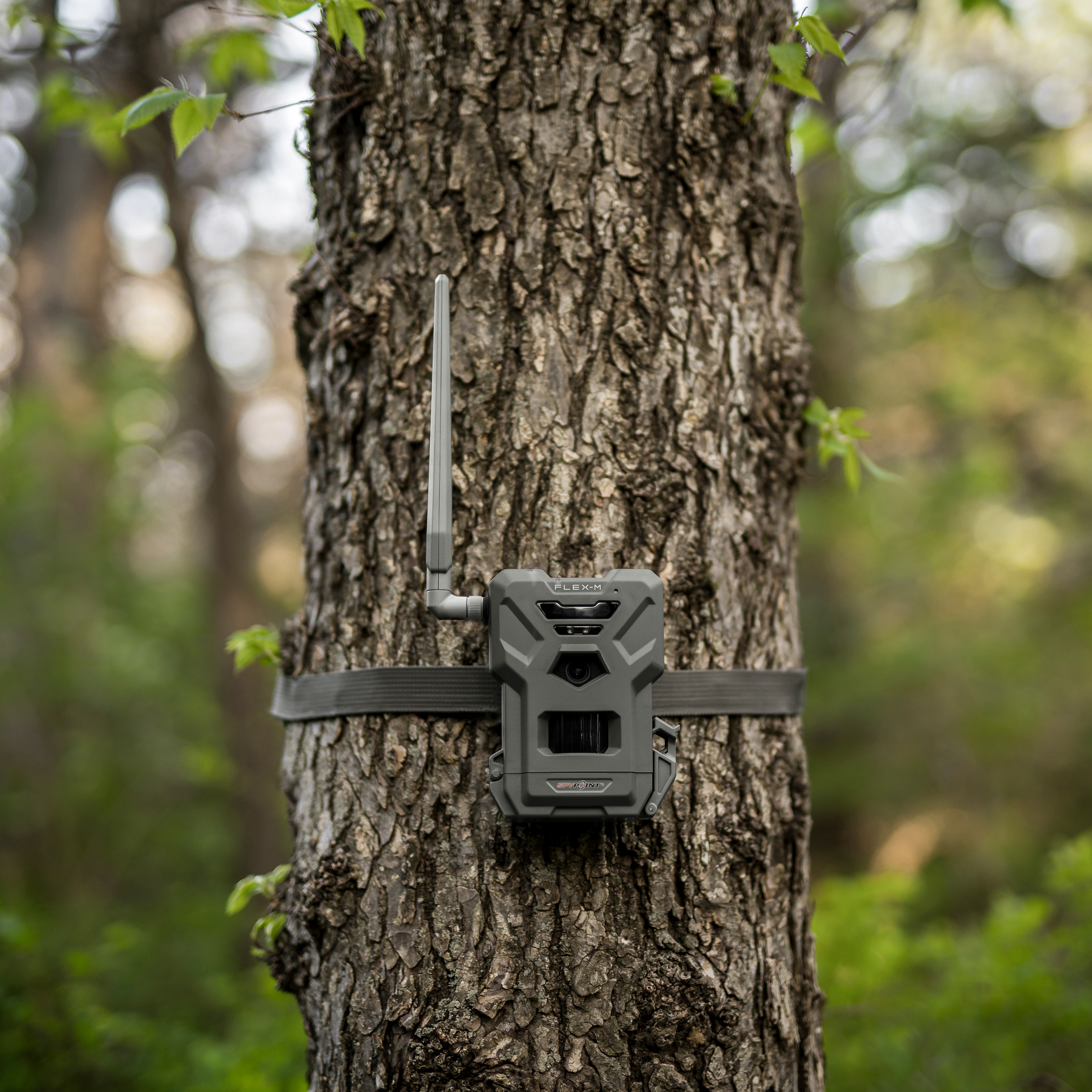 Spypoint FLEX-M TWIN Pack med 2x100 MMS gratis hver md. - Billede 6